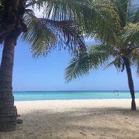 Alison is currently writing SciFi - 1k a day! (@alfootwrites) 's Twitter Profile Photo