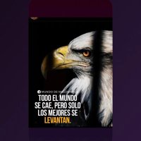 Julio Arellano (@julioar18736893) 's Twitter Profile