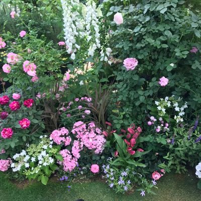 m7297band's profile picture. 脅迫、コントロールからのモラ逃げ。強烈な自己愛男から逃げて、自己愛性パーソナリティ障害と言う言葉を知りました。調べる内に人生でたくさんのNPDと遭遇してた事を知る😅NPDの特徴は調べれば出てくるけど。あまり書かれていない私が体験した細かな違和感を深掘りして書きたいと思います