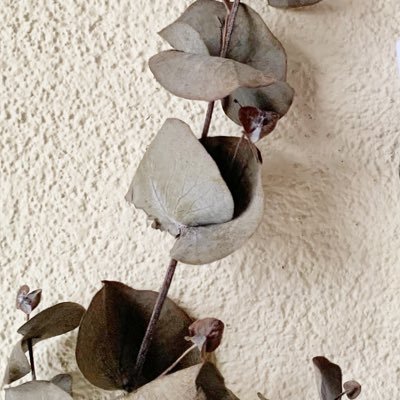 bngeluhy's profile picture. doyan peppermint chocolate, matcha, dan fuudie. hobinya skincare-an dan belanja 💖 jangan difollow karena 23/6 ngeluh 😠