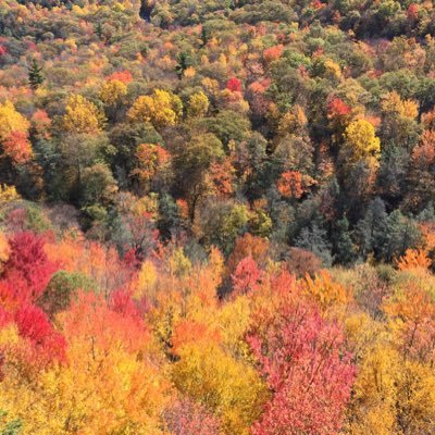 jsantoleri's profile picture. 