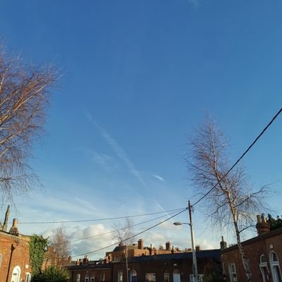 bottleofbeetles's profile picture. Software Engineer. Introvert cliché 80% of the time. I mostly post puns, beautiful things, nerdy references and cat pictures. | She/her