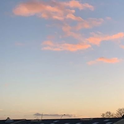 Zoe_lrgr's profile picture. Hey