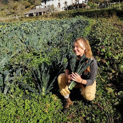 Human ecologist amateurishly labouring on the land. Research/writing: agri-labour justice; agroecology; rural futures; coloniality; ownership; commons.