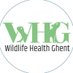 Wildlife Health Ghent (WHG) (@ugent_wildlife) Twitter profile photo