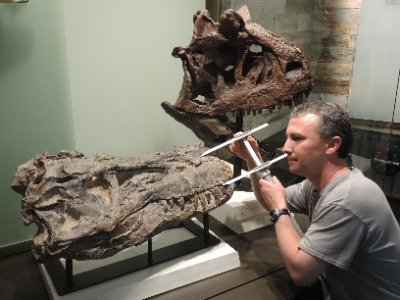 Curator of Dinosaur Palaeoecology. Faunal, environmental, and climate changes leading to the K-Pg boundary. Feeding behavior of extinct predators.