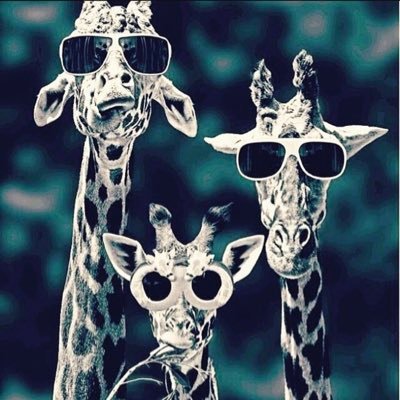 Ossama588056931's profile picture. 