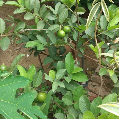 Ryvhhgyujbvhu's profile picture. Bio