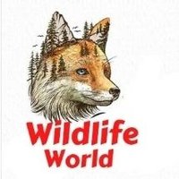 Wildlife World(@Selective_India) 's Twitter Profile Photo