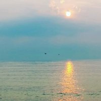 Carlos Esteban Cana-Rivera (@carlosecana2017) 's Twitter Profile