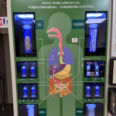 O-995さんのプロフィール画像