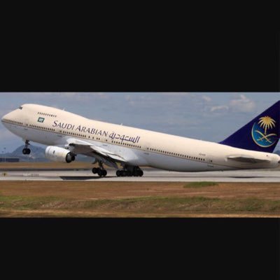 BoBS49260811's profile picture. 