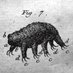 Tardigradopedia (@tardigradopedia) Twitter profile photo Tardigradopedia (@tardigradopedia) Twitter profile photo