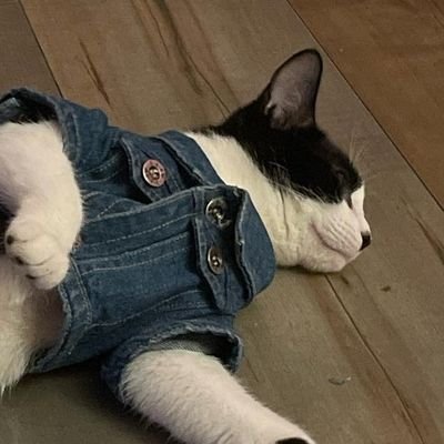 Thirsty23438167's profile picture. 