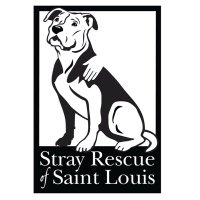 Stray Rescue(@StrayRescue) 's Twitter Profile Photo