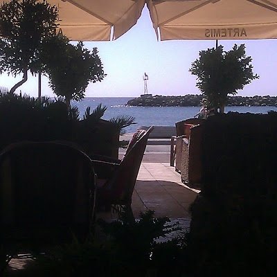 MarkDou63417867's profile picture. 