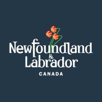 Digital Government and Service NL(@DGS_GovNL) 's Twitter Profile Photo