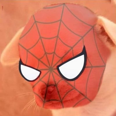 ron7s's profile picture. Economía. Fútbol/Football. Nerd qosqoruna 🇵🇪. Cienciano. YNWA.