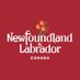 Industry, Energy and Technology NL (@iet_govnl) Twitter profile photo