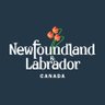 TCAR_GovNL's profile picture. 