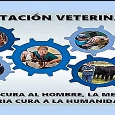 Los veterinarios somos sanitarios