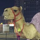 michael lackie - @mychalfrancis - Twitter