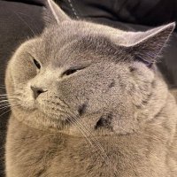 ah, (@hotdog_ma) 's Twitter Profile Photo ah, (@hotdog_ma) 's Twitter Profile Photo