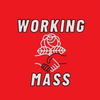 Working Mass(@DSAWorkingMass) 's Twitter Profile Photo