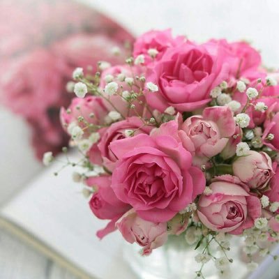 fatma_KW9's profile picture.