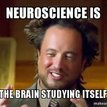 psychologist, writing brain and behaviour + therapy