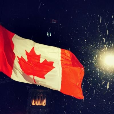 DPietraru's profile picture. Canada has a problem at the top created by illusions at the bottom.