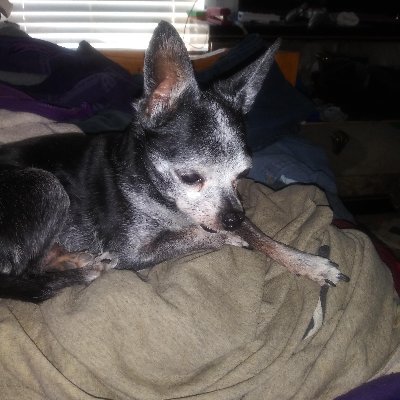 nchav14's profile picture. Sup