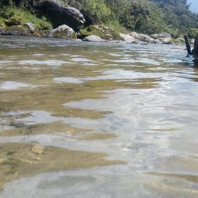 EscobarMosquera's profile picture. 