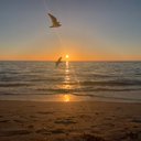 Laura Nester - @Laura_Nester - Twitter