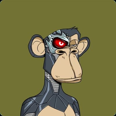 NFTDaka's profile picture. nfts finder