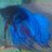FishysTale's profile image
