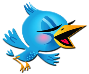 NewFansFollower's profile picture. We provide Facebook Fans and Twitter Foolowers