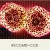 RECOMB-CCB 2022 (@2022ccb) Twitter profile photo RECOMB-CCB 2022 (@2022ccb) Twitter profile photo