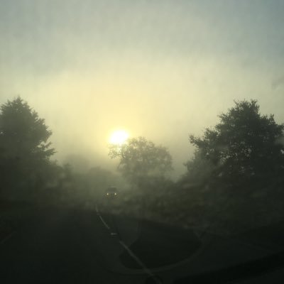 Sihoffmannd's profile picture. 