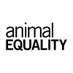 Animal Equality (@AnimalEquality) Twitter profile photo