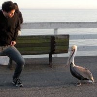 GunnarHandsome's profile picture. 