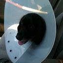 Adam - @AdamCubsFan29 - Twitter