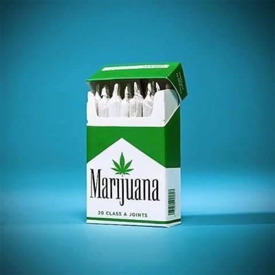 DannyEs66358230's profile picture. 