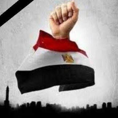 مستشار مالي في الغربه اعشق تراب مصر واعمل من اجل حريتها
