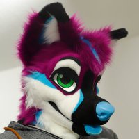 Purple Dog(@CycurCanine) 's Twitter Profile Photo