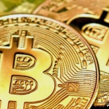 lim3949's profile picture. 코인을 잘하고 싶은 남자랍니다 ㅎ