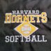 Harvard Hornet Softball (@hornet_sb) Twitter profile photo Harvard Hornet Softball (@hornet_sb) Twitter profile photo
