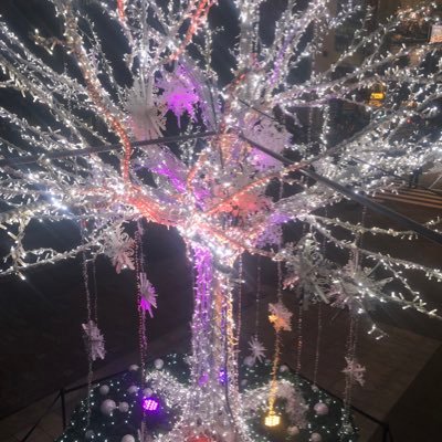 男です。 東京 大田区住み 蒲田辺りに出没 30後半 裏アカ 金夜〜土夜は動けます。基本的な変態 先払いはしません(言ってくる人はスルー)。 アニメ漫画好き。泊めますアカ