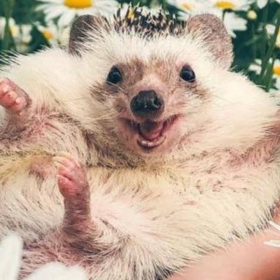 XavierWeaver11's profile picture. 