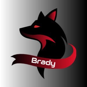 I am a  YouTube and I live stream on twitch and make gaming videos my YouTube name is bradymcgaming and my twitch name is bradychristopherson67